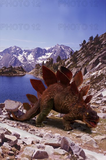 STEGOSAURUS