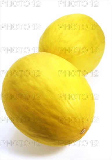 Yellow Spanish Melon