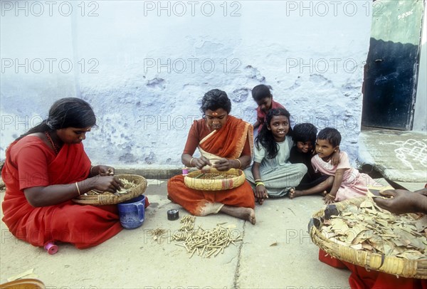 Women rolling Beedis by sitting