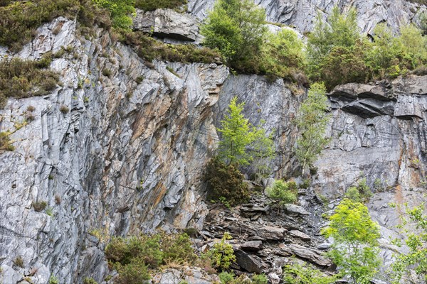 Ballachulish slate quarry with overgrown cliff