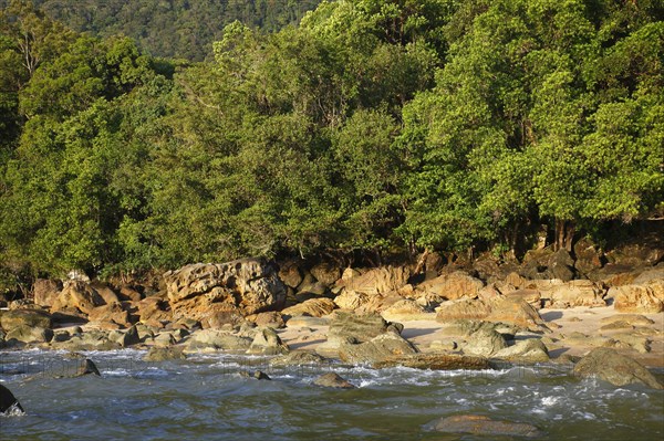 Tidal beach with rocks and rainforest