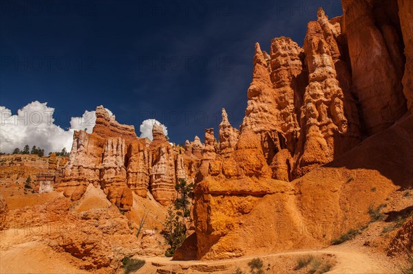 Navajo Loop Trail