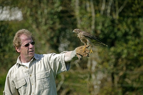 Man Reintroducing Bird to Nature