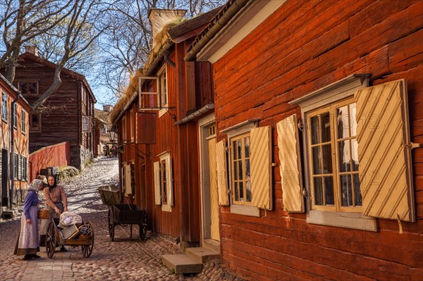 Skansen Museum