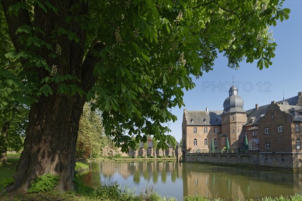 Castle Bergerhausen with horse chestnut