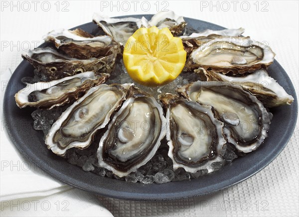 Plate of French Marennes d'Oleron oysters