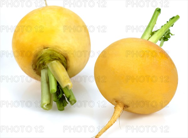 Golden Ball Turnips