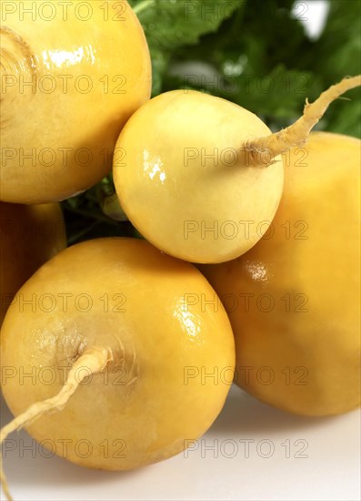 Golden Ball Turnips