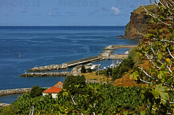 Calheta fishing and marina