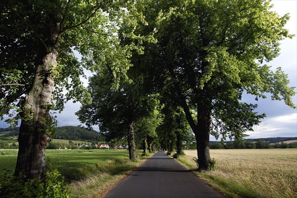 Road in the Werratal