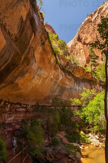 Emerald Pool