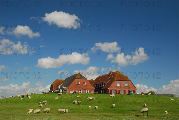 Brick houses