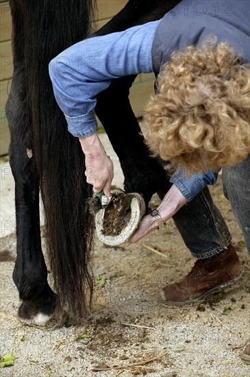 Woman with English thoroughbred horse