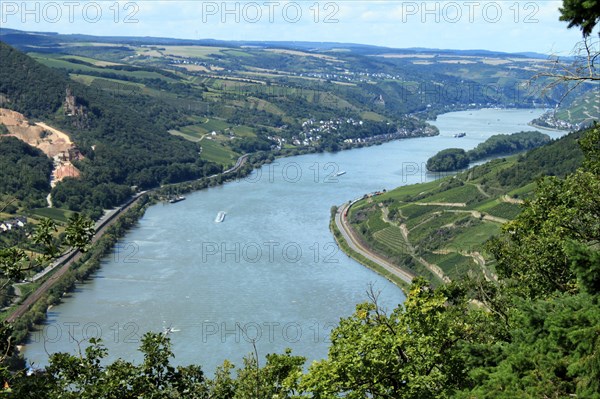 Rhine near Lorch
