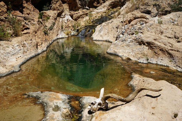 Kudushaedel in front of natural water basin