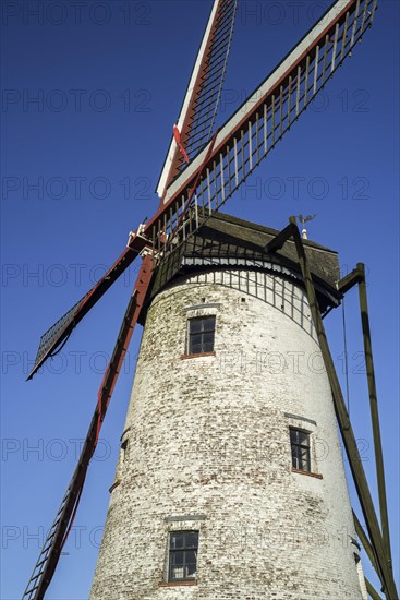 The Schellemolen