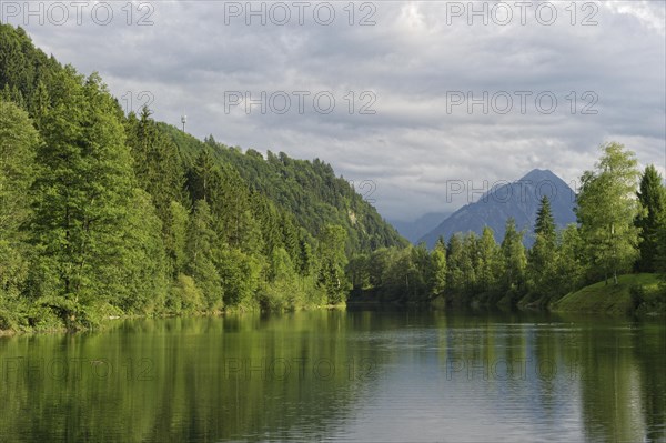 Auwaldsee near Fischen