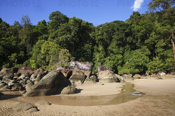 Beach with rocks and rainforest