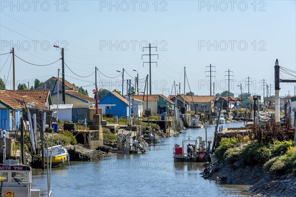 Colourful cabins oyster farmers