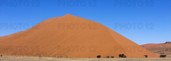 NAMIB-NAUKLUFT PARK IN THE NAMIB DESERT