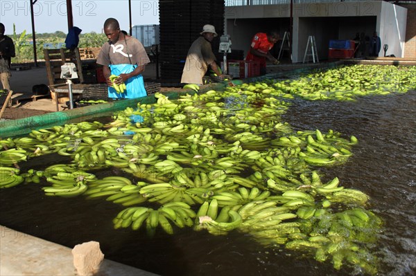 Washing plant