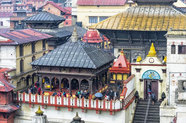 Pashupatinath Temple Complex