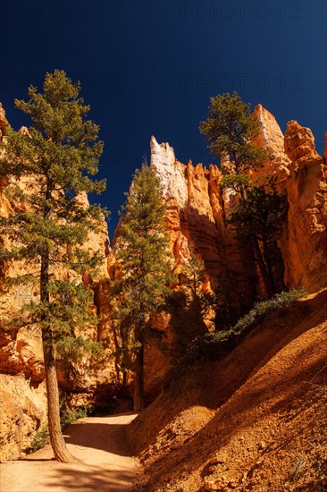 Navajo Loop Trail