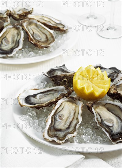 FRENCH OYSTER MARENNES D'OLERON ostrea edulis WITH YELLOW LEMON ON PLATE