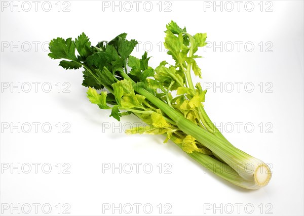 Celery