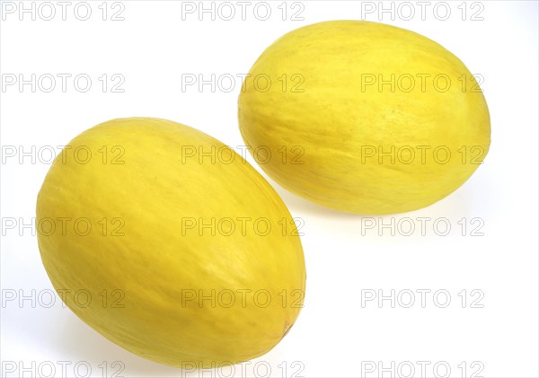 Yellow Spanish Melon