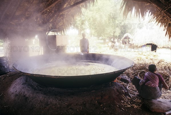 Making jaggery out of sugarcane juice at Mettur