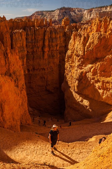 Navajo Loop Trail