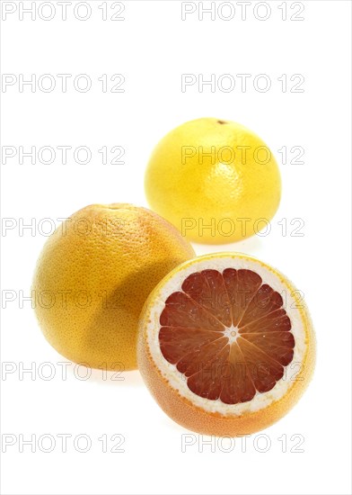 GRAPEFRUIT citrus grandis against white background