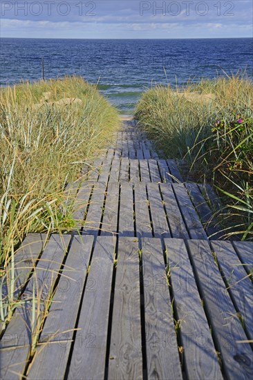 Access to the beach through the dunes of Rantum