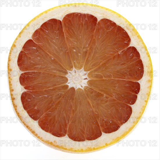 GRAPEFRUIT citrus grandis against white background