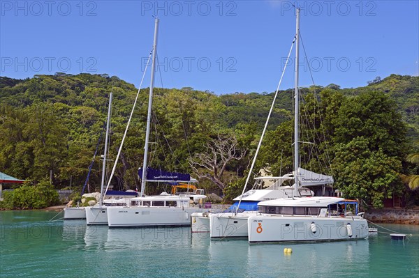 Sailboats for hire in the harbour