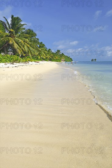 Dream beach Anse La Reunion