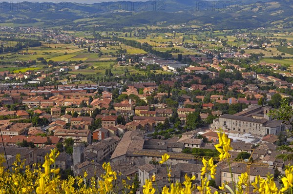 Gubbio