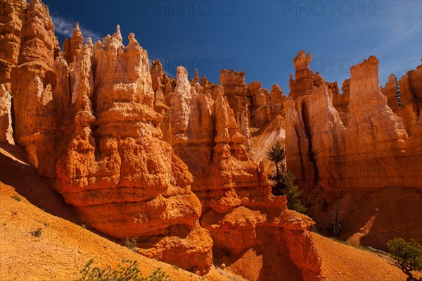 Navajo Loop Trail