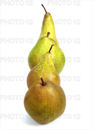 Comice Pear