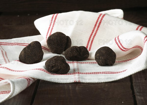 Perigord Truffle