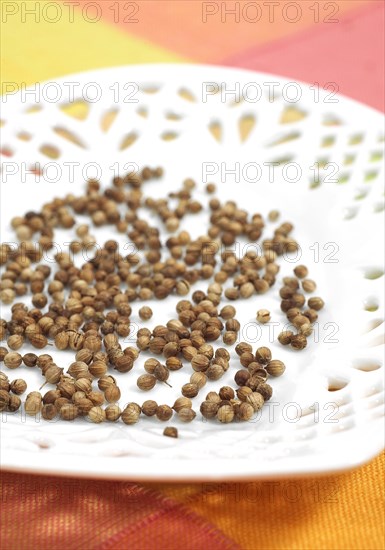 CORIANDER