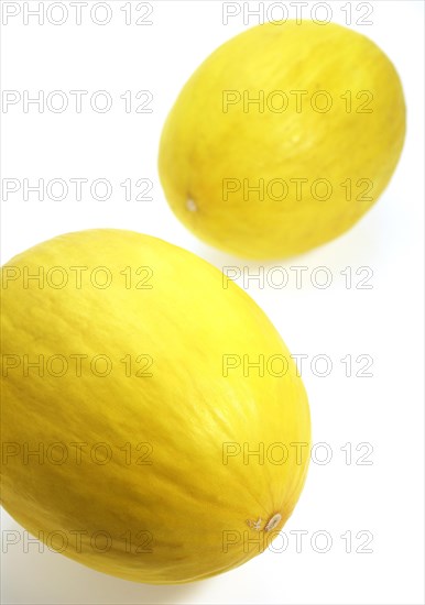 Yellow Spanish Melon