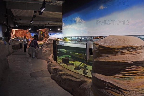 Pools and aquariums in the Sylt Aquarium