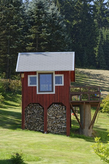 Shelter with firewood