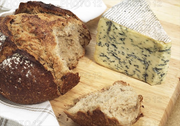 BRED WITH BLEU DES CAUSSES