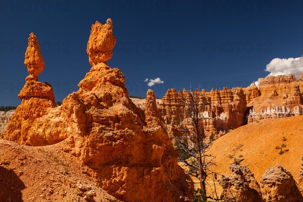 Navajo Loop Trail