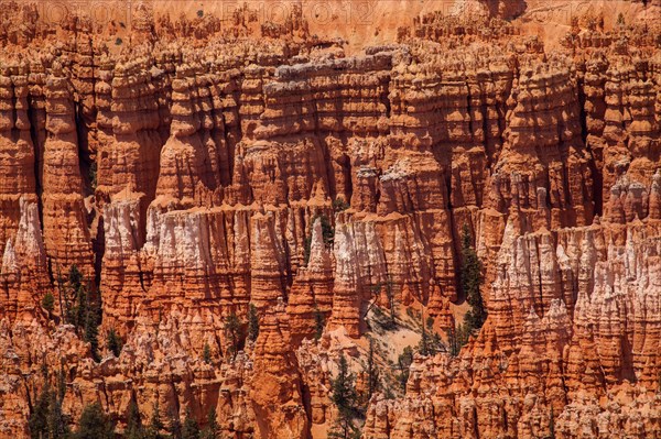 Bryce Point