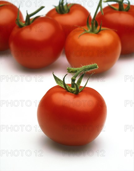 (Lycopersicon esculentum), tomato, tomatoes, nightshade family, RED TOMATOES against white background