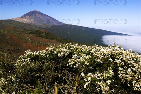 Pico del Teide Volcano